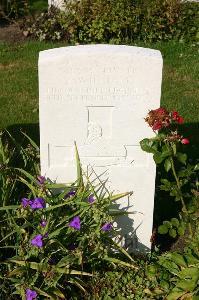 Dozinghem Military Cemetery - Williams, A